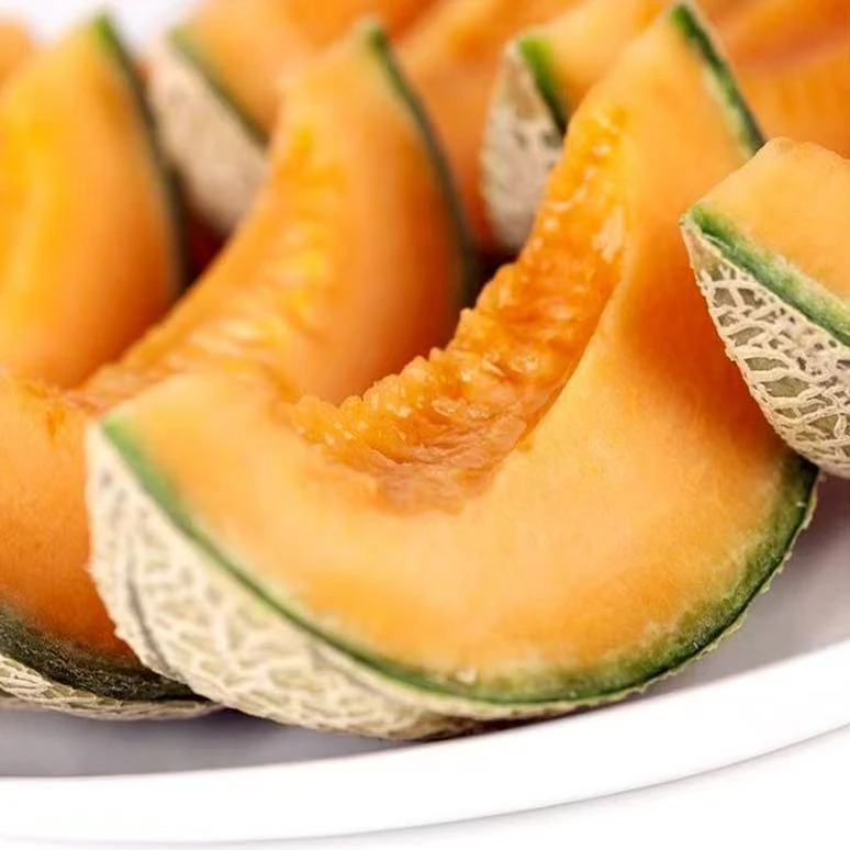 【吐鲁番西州蜜25号】正宗新疆吐鲁番哈密瓜脆甜多汁蜜瓜西州蜜