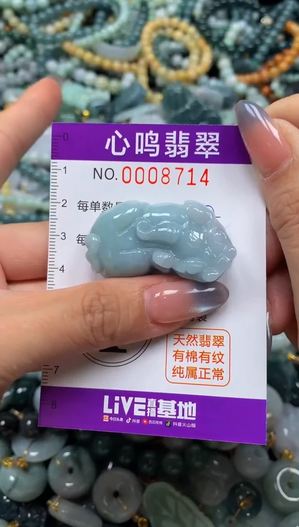 颈饰未镶嵌翡翠闪购008714
