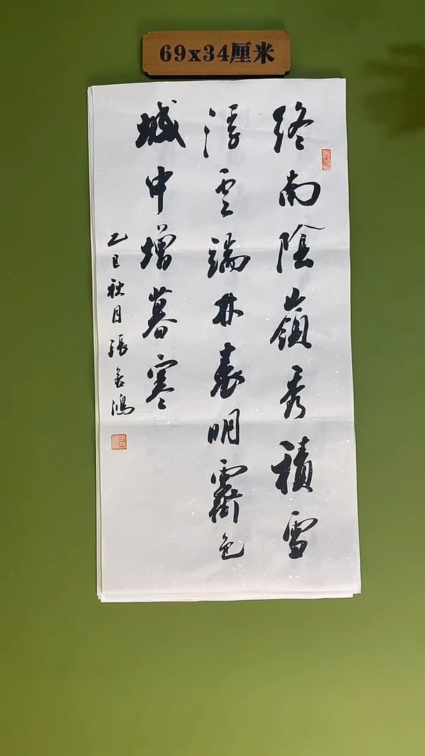 书法书法 张若鸿 尺寸69cm*34cm