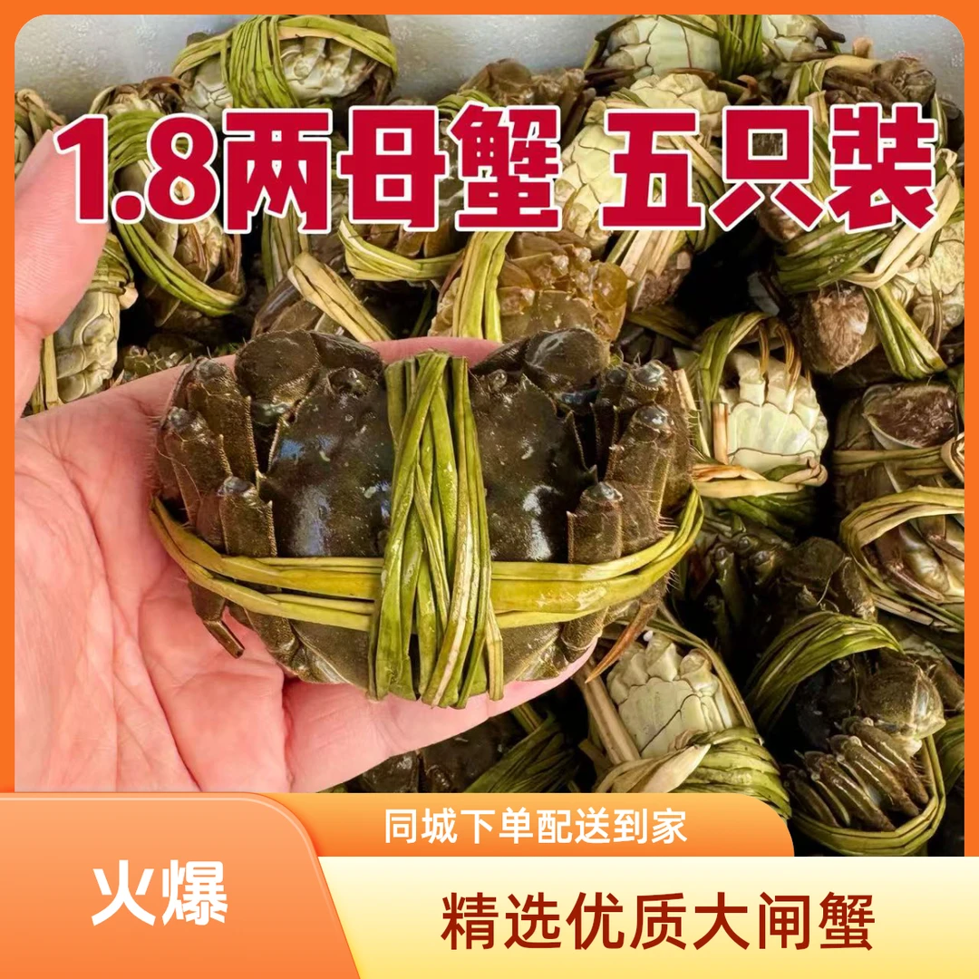 【活蟹】精品母蟹5只（1.6两-2.1两）-48元 (10只78元)