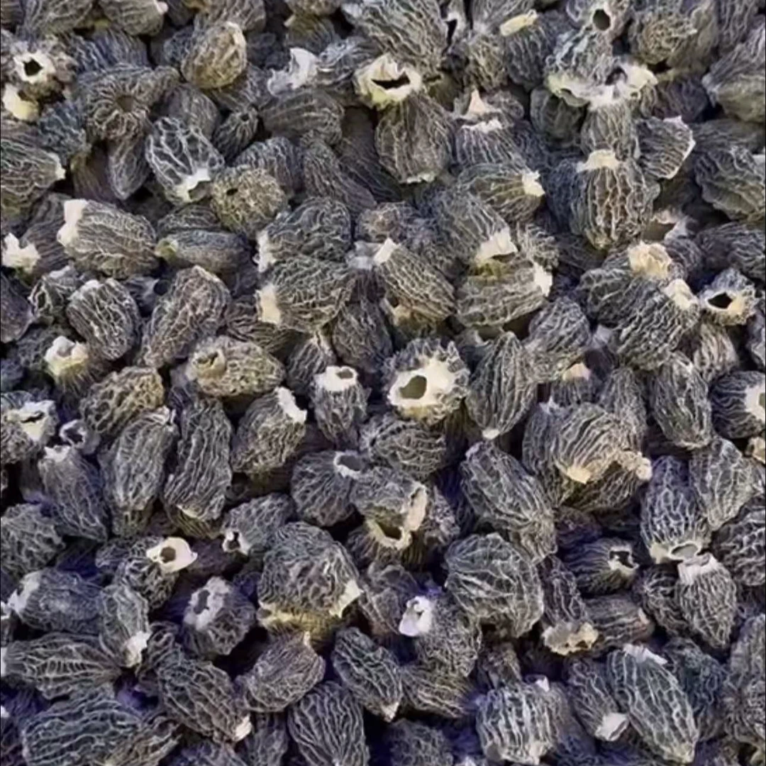 【玉姐精选】新川货仿野4-5cm波密货羊肚菌 100g/250g