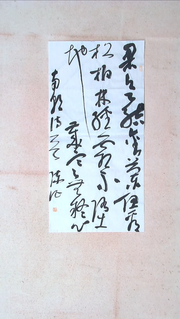 【闪购商品】书法陈征河南南阳69*34两平尺多字