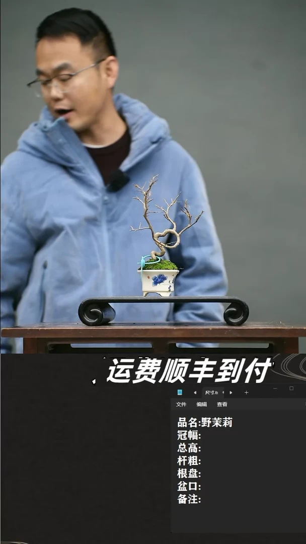 【闪购商品】24 野茉莉