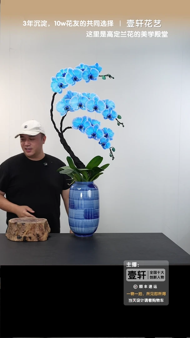 全部花朵026号链接【一物一拍】艺术盆景