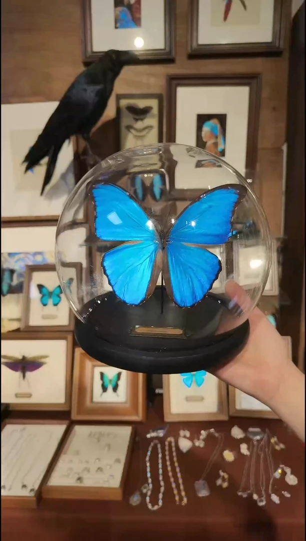 玻璃531蓝闪玻璃罩