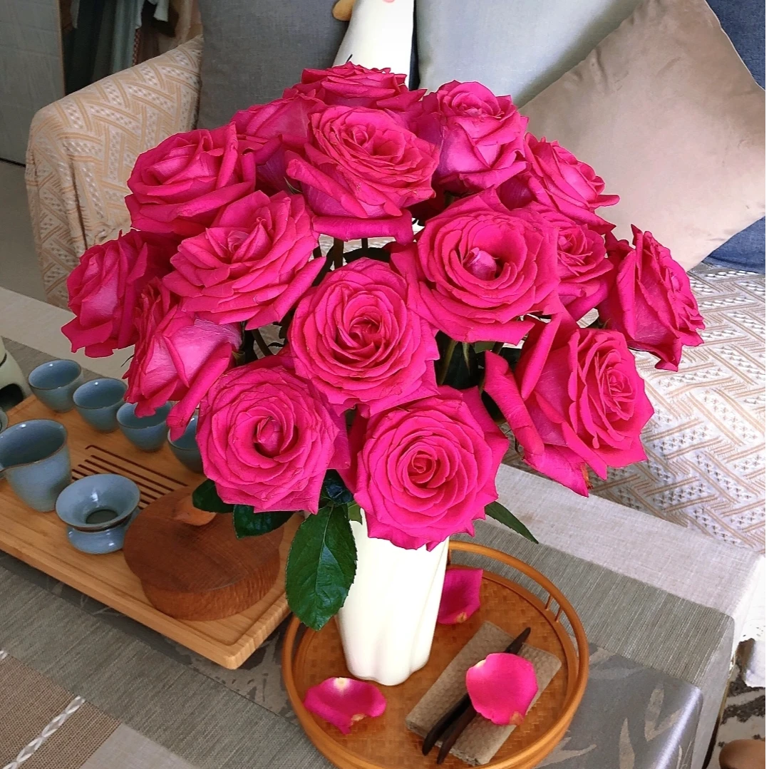 【弗洛伊德AK】单头玫瑰10枝 基地直发 | 全场鲜花任意两单包邮