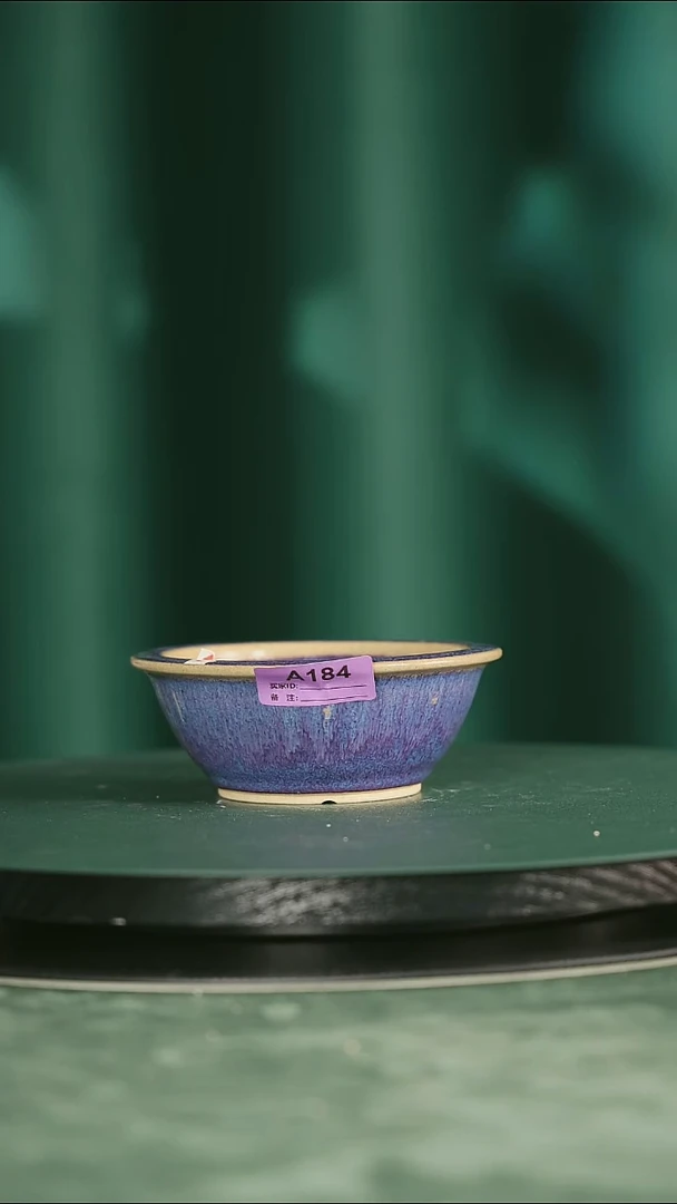 5寸小圆盆       184