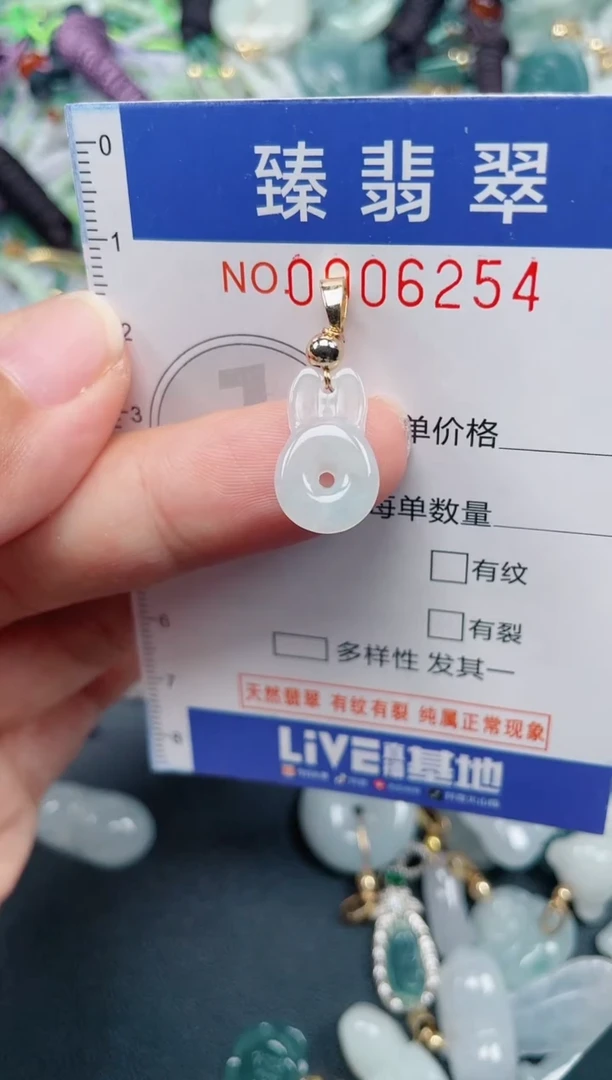 颈饰未镶嵌翡翠.0006254