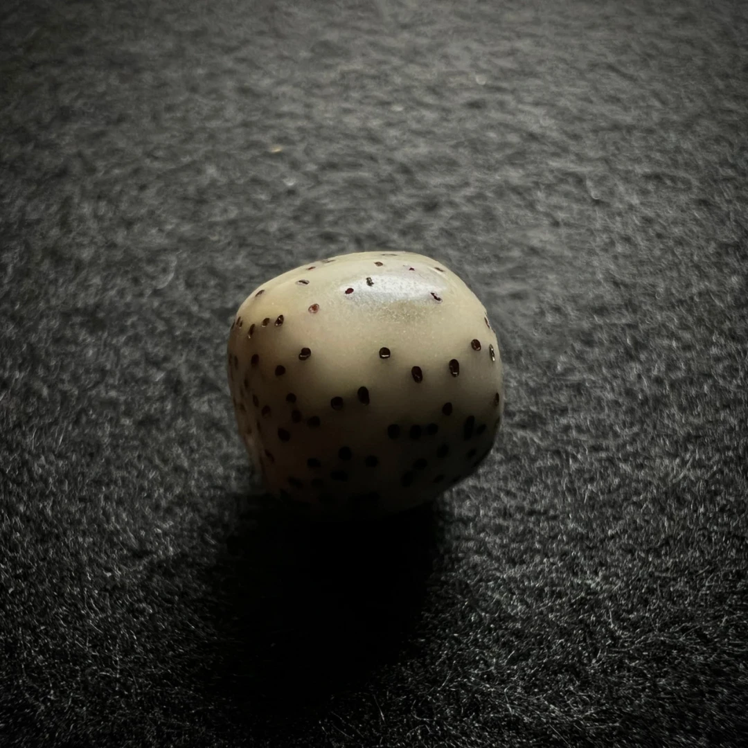 M04 星月菩提精品手串