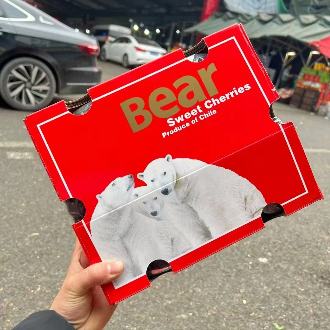 冰熊 海运智利车厘子拉宾斯 2JDD 5斤 10斤净果  内附果径卡