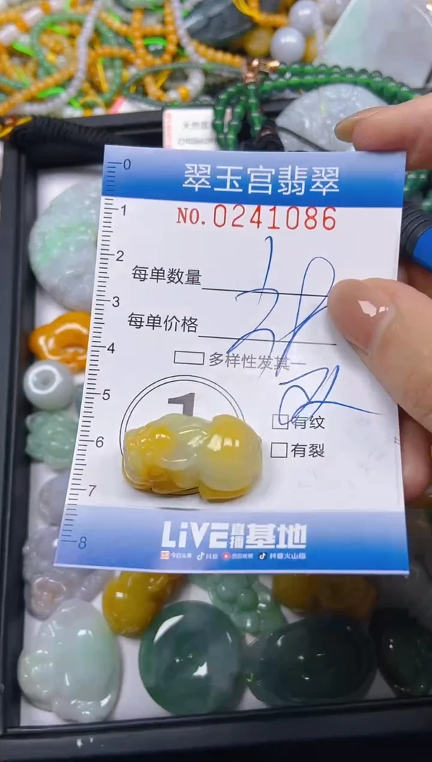 颈饰未镶嵌翡翠闪购C0241086