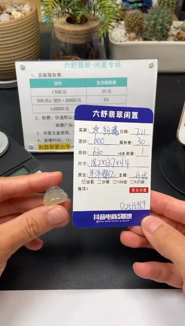 翡翠未镶嵌颈饰?****姐D2515969