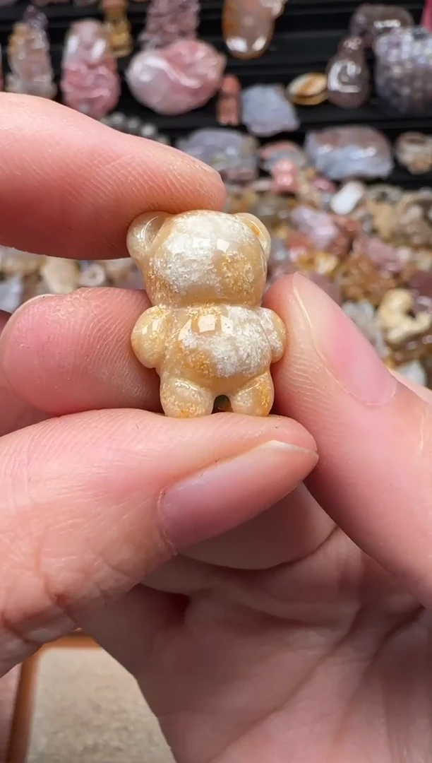 颈饰未镶嵌硅化珊瑚（珊瑚玉）121