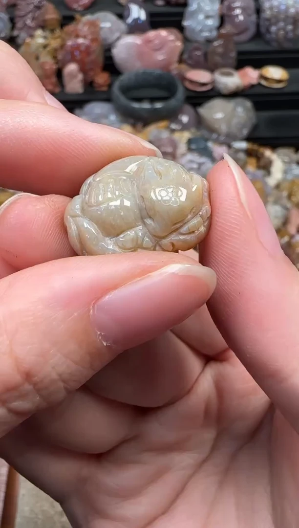 颈饰未镶嵌硅化珊瑚（珊瑚玉）322
