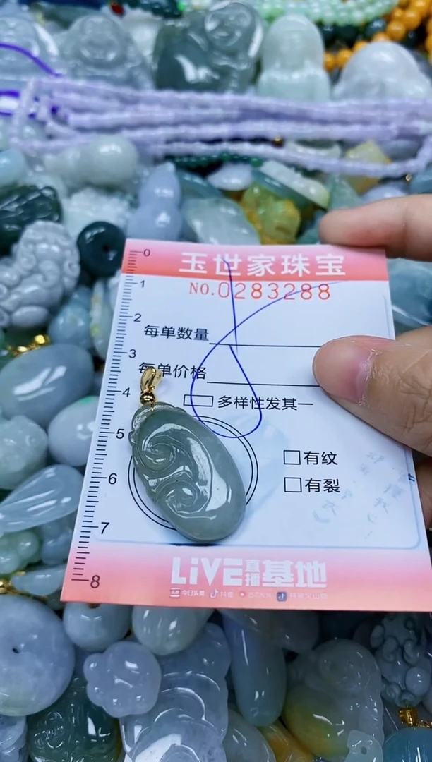 翡翠未镶嵌颈饰闪购0283288