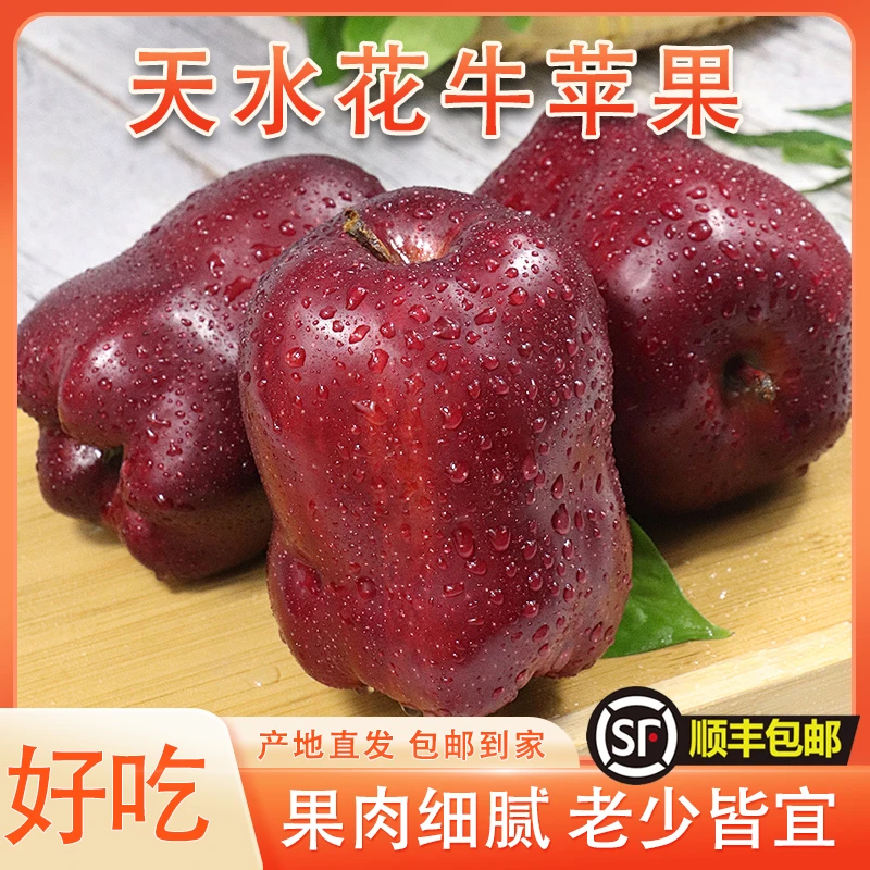 【顺丰包邮】甘肃天水花牛苹果新鲜水果脆甜多汁粉面口感产地直销