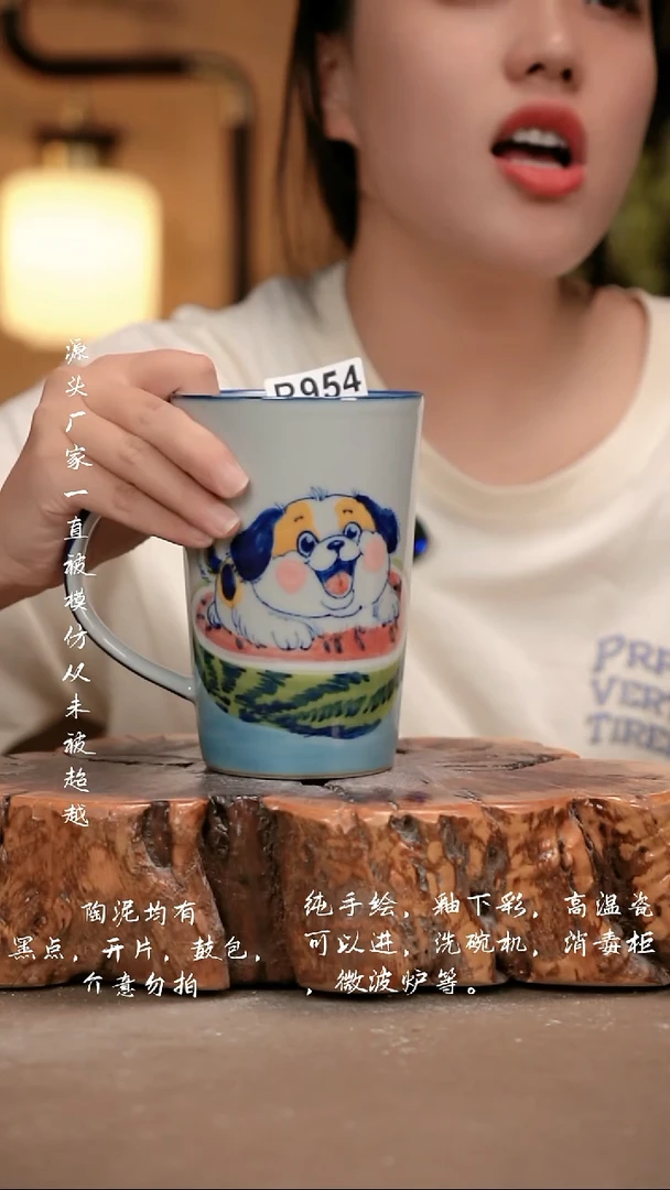 其他WR954 新十二器