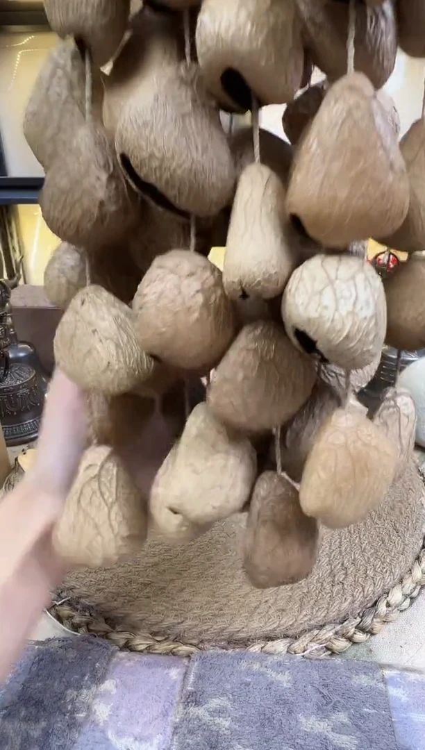 果壳
