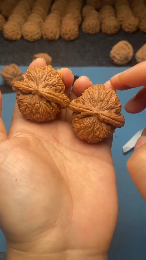 桃核把件w  52   白狮子 42尺