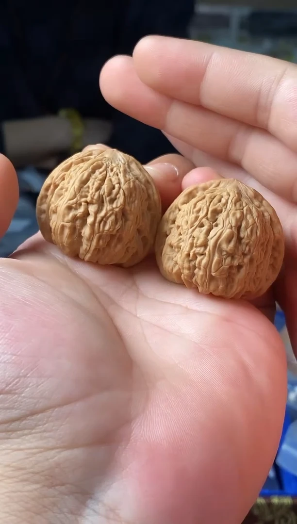 把件文玩核桃全品承德密纹37尺