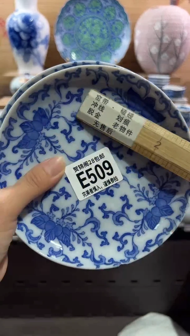 瓷片          E509