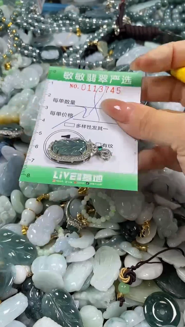 【闪购商品】翡翠颈饰未镶嵌闪购0113745多样性发其一