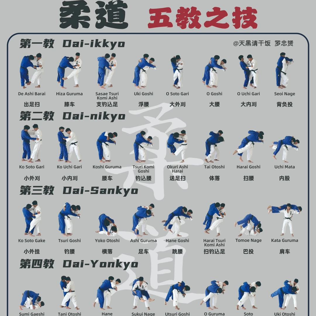 柔道《五教之技》柔道动作海报