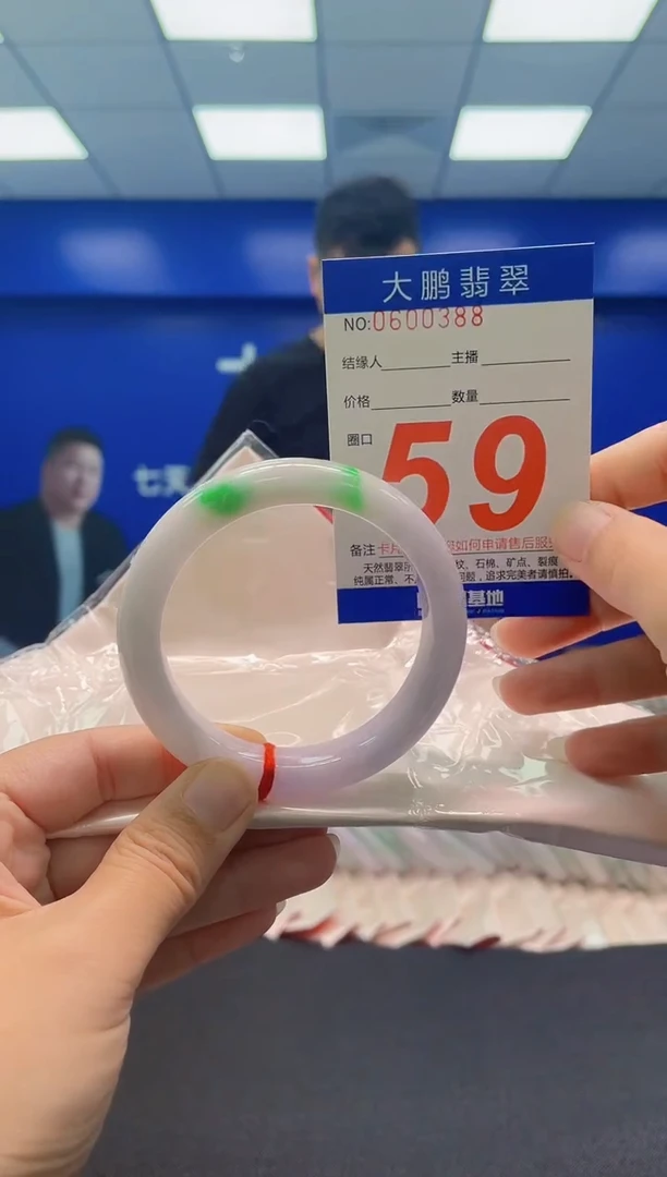 未镶嵌手镯翡翠AAAAAAAAA