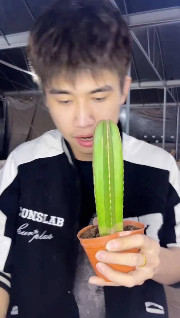 【闪购商品】白云阁