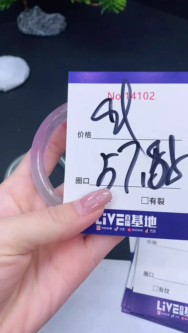 未镶嵌手镯翡翠14102