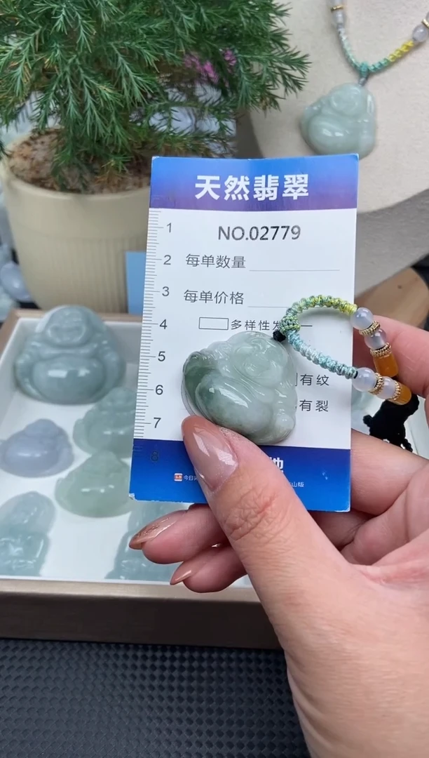颈饰未镶嵌翡翠纯天然A货翡翠2779