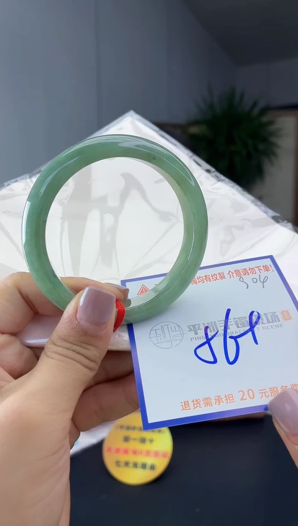 未镶嵌手镯翡翠111111111111