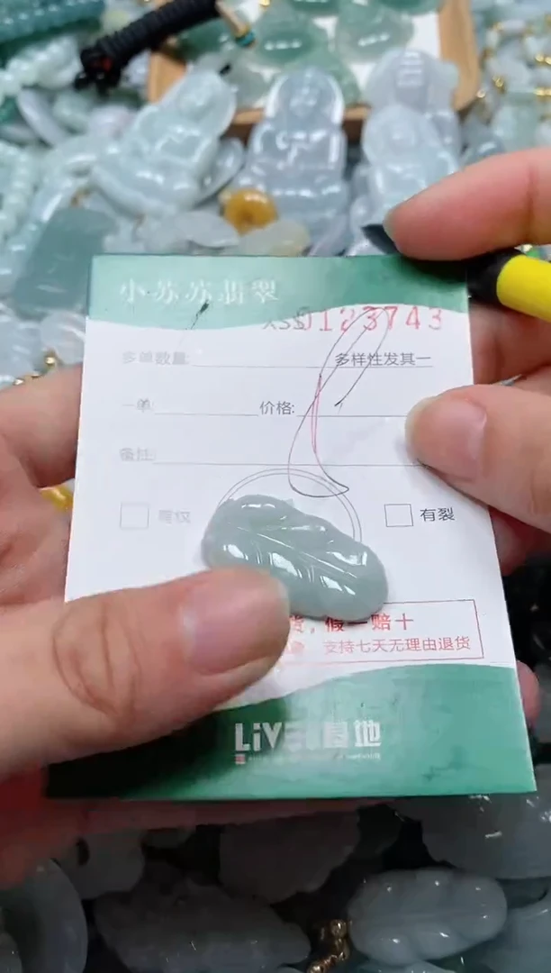 【闪购商品】翡翠颈饰未镶嵌闪购商品0123743