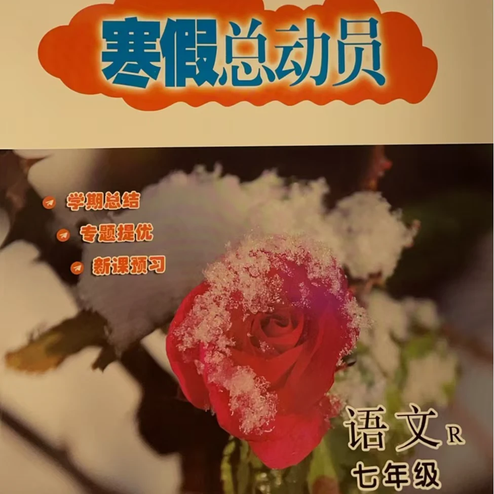 【德宏新华04】寒假总动员 语文 七年级