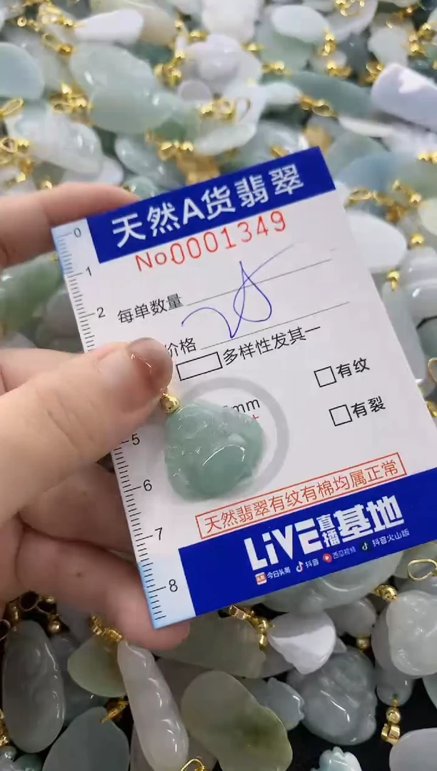颈饰未镶嵌翡翠天然A货翡翠