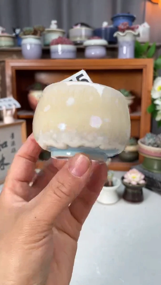 瓷片255小芳直播编号