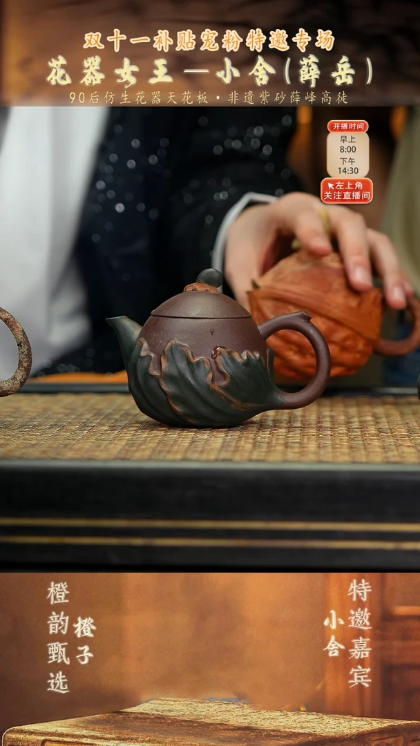 XS30蜗牛茄瓜 紫泥