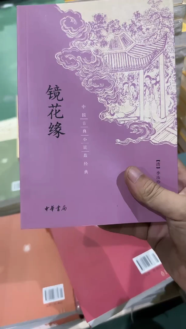 瑕疵 x 镜花缘 紫色 平装