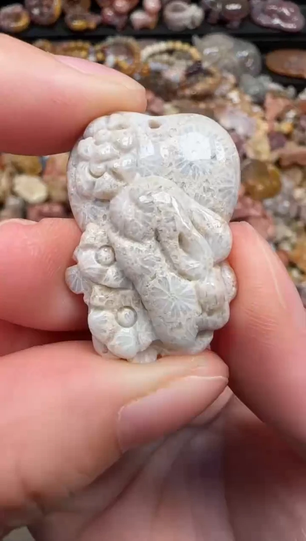 颈饰未镶嵌硅化珊瑚（珊瑚玉）071
