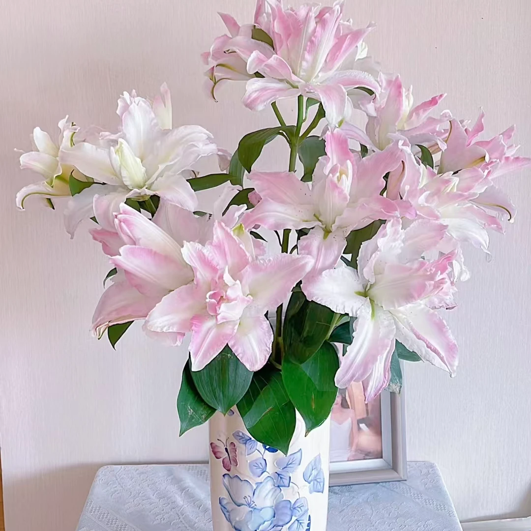 【次日达·荷塘月色重瓣百合9个花苞】生活鲜花·全场任意两单顺丰送货上门今天拍明天到·基地直发现采现发售后无