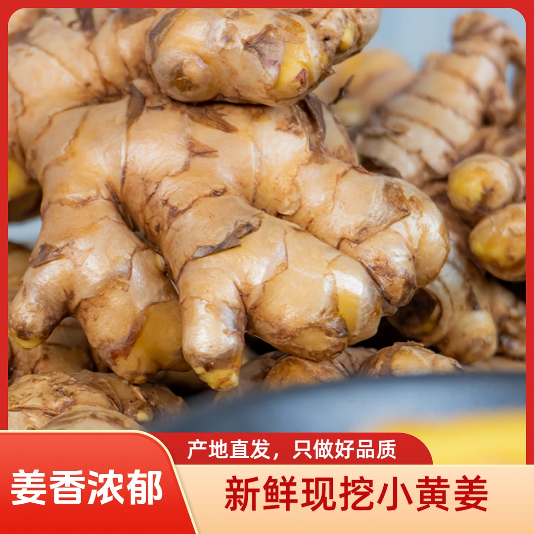 【浮力专属】正宗云南新鲜现挖小黄姜老姜无硫磺健康调味蔬菜果蔬