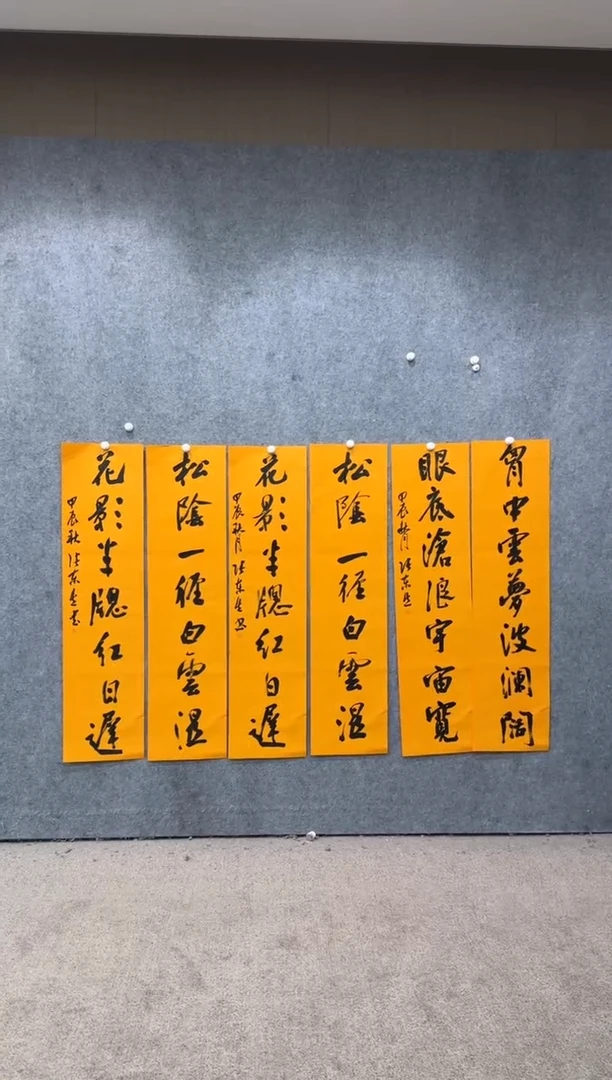 【闪购商品】书法pmw不二轩旗舰店书法ZDS1