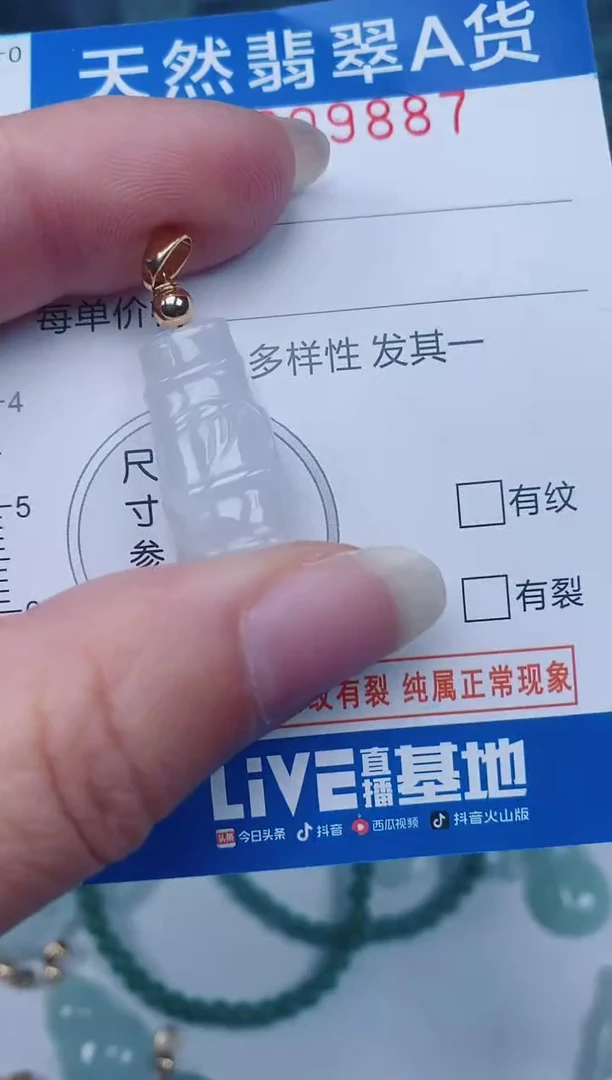 颈饰未镶嵌翡翠00009887