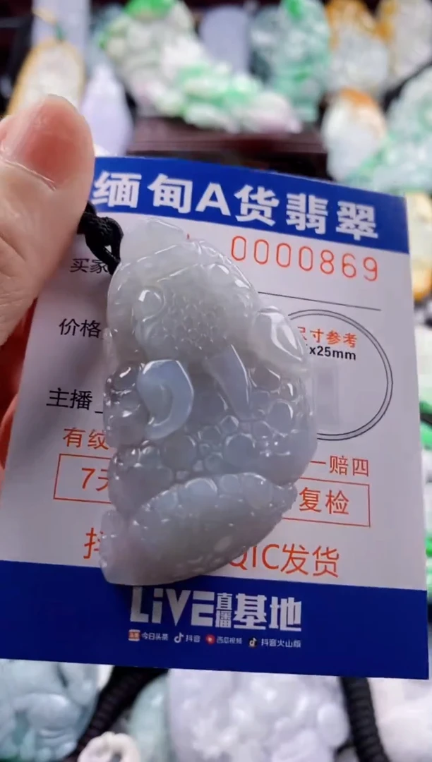 翡翠未镶嵌吊坠(不含链)1