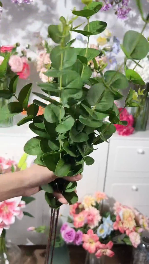 3枝手感尤加利叶