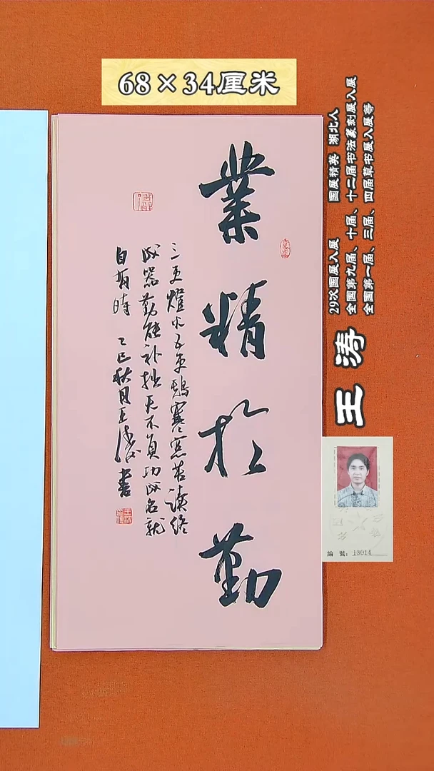 书法25R王涛书法作品