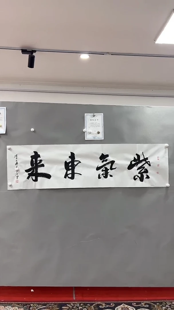 【闪购商品】书法雅艺典藏文化书法