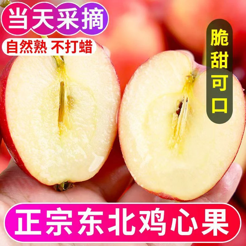 东北鸡心果锦绣海棠酸甜多汁新鲜采摘脆甜可口小苹果