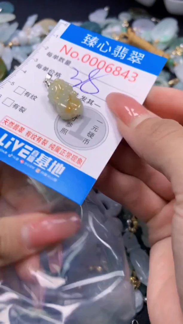 翡翠未镶嵌颈饰6843