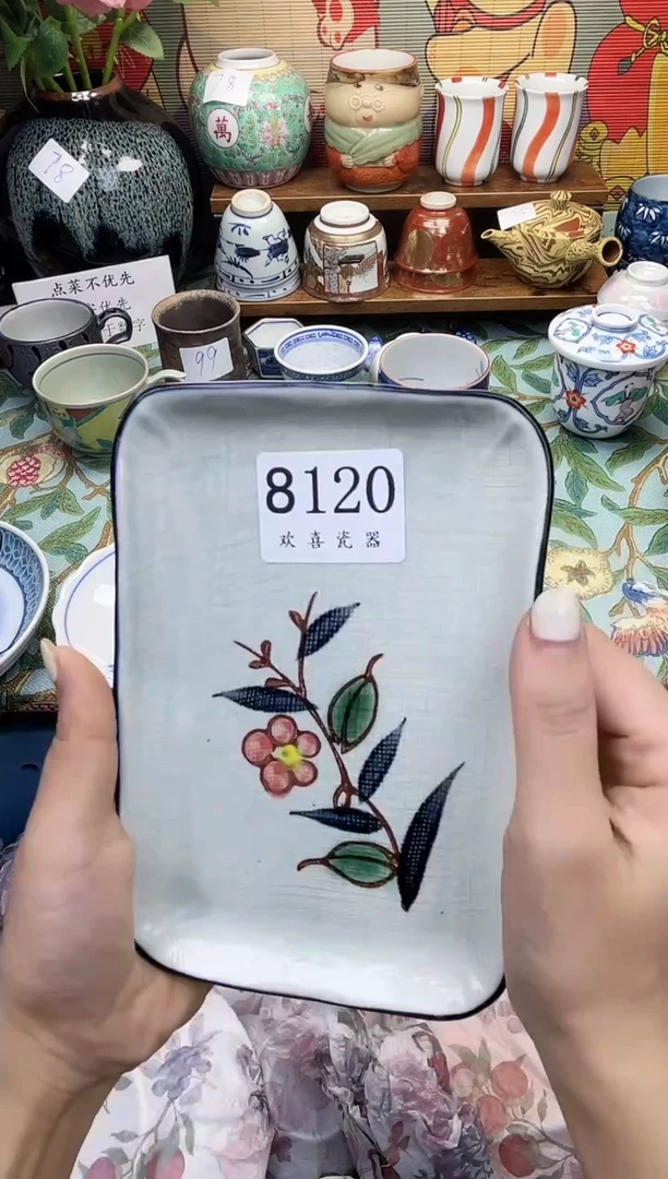 瓷片W**N           8120